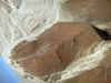peru-day-02-150-nazca-lines
