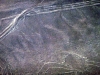 peru-day-02-153-nazca-lines-monkey