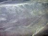 peru-day-02-155-nazca-lines