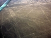 peru-day-02-165-nazca-lines