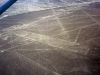 peru-day-02-166-nazca-lines