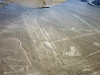 peru-day-02-169-nazca-lines