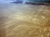 peru-day-02-170-nazca-lines