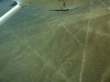 peru-day-02-171-nazca-lines