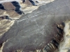 peru-day-02-177-nazca-lines-humming-bird