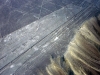 peru-day-02-182-nazca-lines