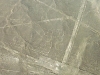 peru-day-02-195-nazca-lines-parrot