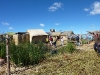 peru-day-04-103-uros-islands