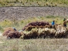 peru-day-05-andean-explorer-194