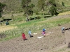 peru-day-05-andean-explorer-322