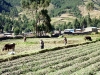 peru-day-05-andean-explorer-342