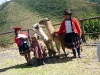 peru-day-06-020-sacred-valley-tour