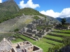 peru-day-07-machu-picchu-243