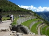 peru-day-07-machu-picchu-295