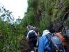 peru-day-08-030-wayna-picchu-climb