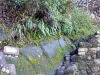 peru-day-08-045-wayna-picchu-climb
