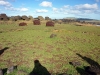 easter-island-day-12-014-ahu-hanga-tee