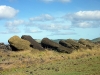 easter-island-day-12-016-ahu-hanga-tee