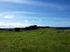 easter-island-day-12-168-ahu-te-pito-kura