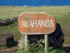 easter-island-day-12-019-aka-hanga