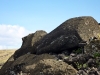 easter-island-day-12-033-aka-hanga