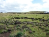 easter-island-day-12-044-aka-hanga