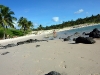 easter-island-day-12-208-anakena-beach