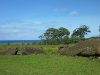 easter-island-day-12-056-rano-raraku