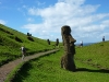easter-island-day-12-062-rano-raraku