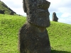 easter-island-day-12-079-rano-raraku