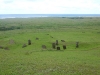 easter-island-day-12-119-rano-raraku