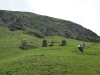 easter-island-day-12-123-rano-raraku
