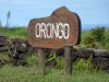 easter-island-day-13-037-orongo