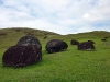 easter-island-day-13-122-puna-pau