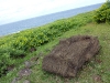 easter-island-day-13-107-vinapu