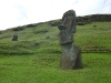 easter-island-day-14-147-rano-raraku