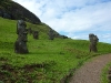 easter-island-day-14-157-rano-raraku