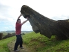 easter-island-day-14-169-rano-raraku