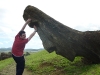 easter-island-day-14-170-rano-raraku