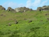 easter-island-day-14-240-rano-raraku