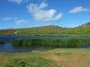 easter-island-day-14-242-rano-raraku