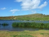 easter-island-day-14-245-rano-raraku