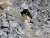 easter-island-day-15-122-ana-kakenga-two-windows-cave