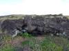 easter-island-day-15-136-ana-te-pora-cave