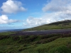 easter-island-day-15-002-airport