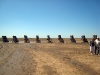 cadillac-ranch-amarillo-14.jpg