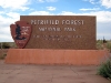 petrified-forest-national-park-001.jpg