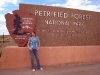 petrified-forest-national-park-003.jpg