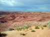 petrified-forest-national-park-009.jpg