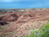 petrified-forest-national-park-013.jpg